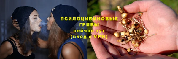 трава Новозыбков