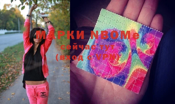 трава Новозыбков